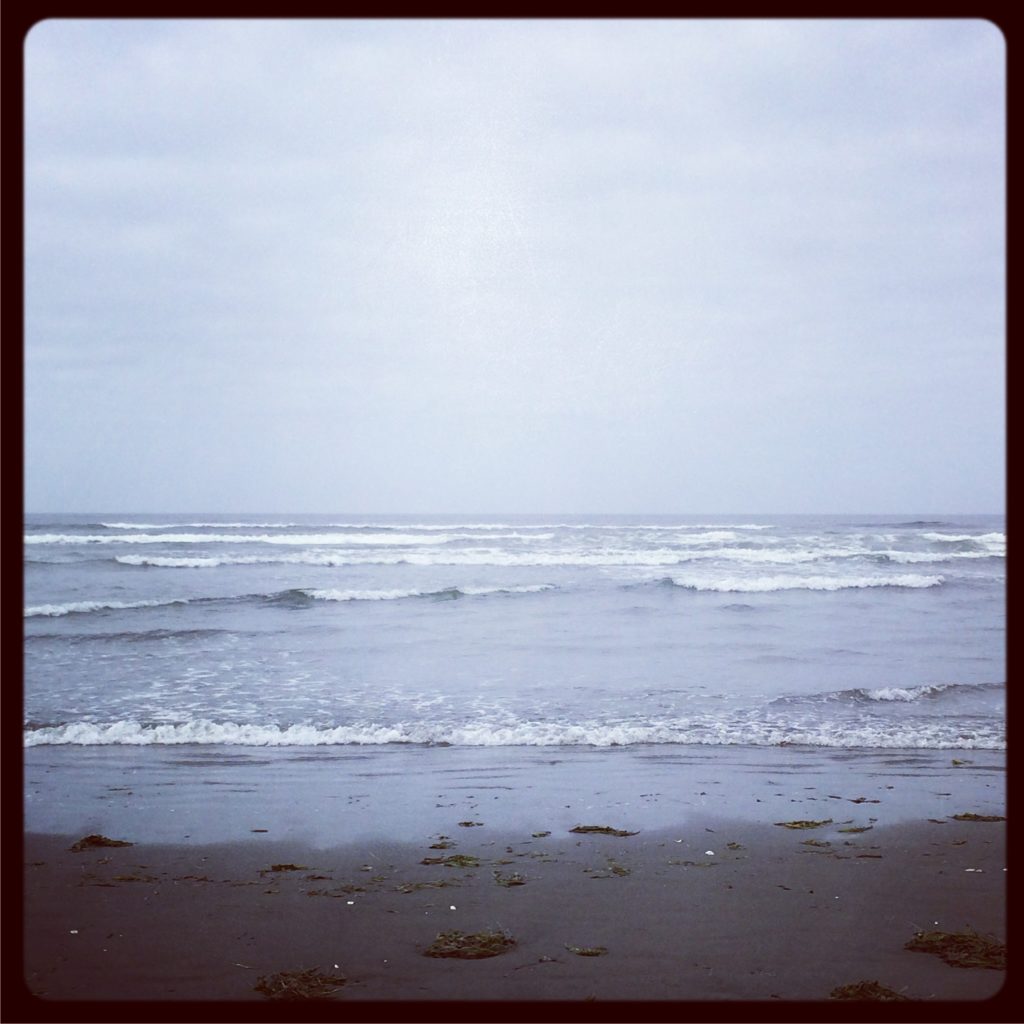 ocean shores beach