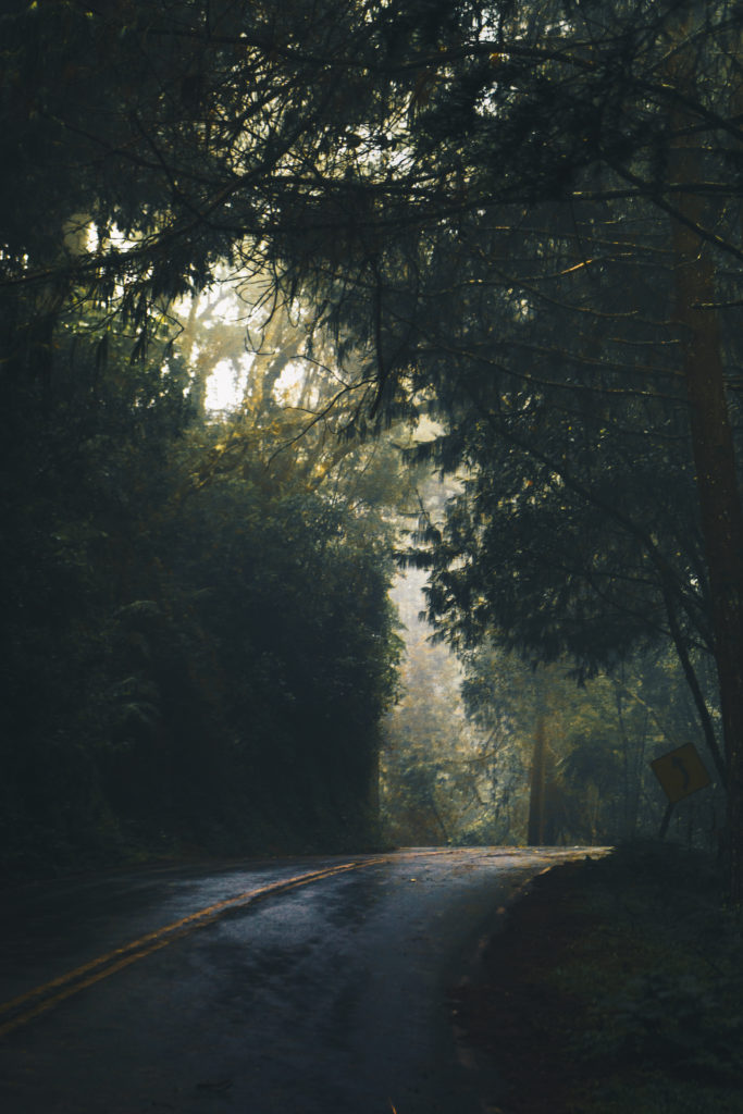 hidden coast scenic byway quietest square inch