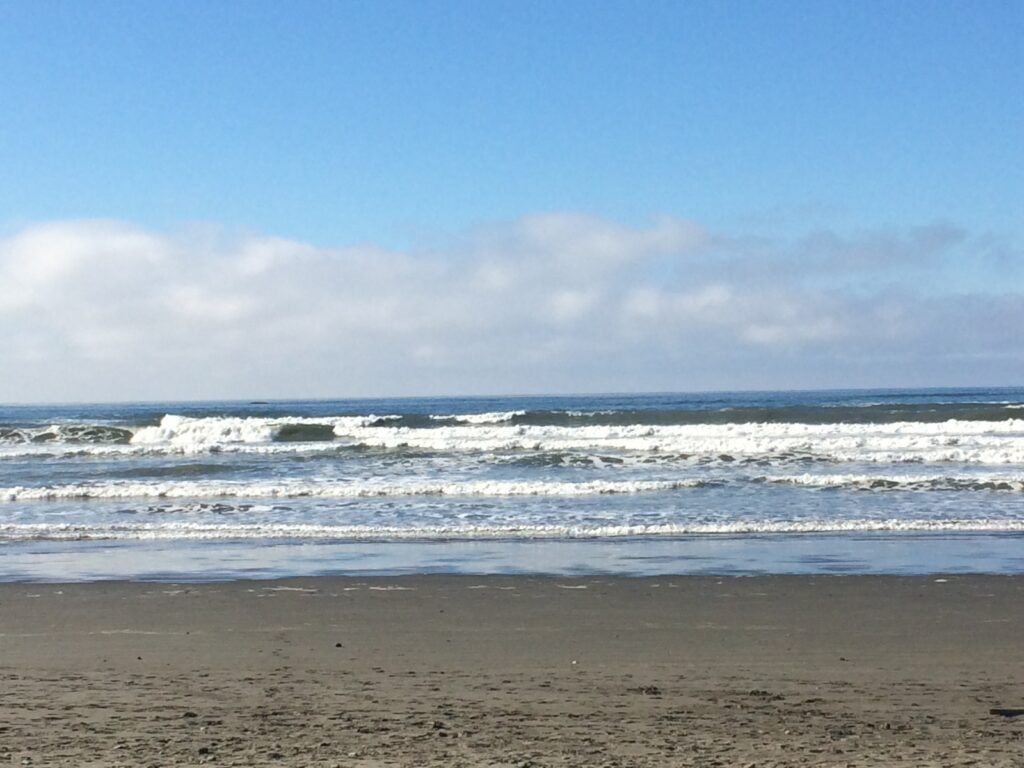 Hidden Glass Floats Grays Harbor Beaches